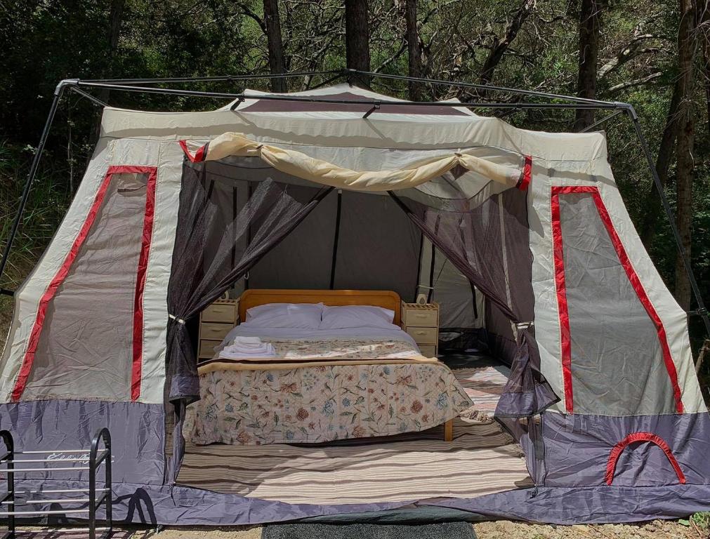 Pelekas Olive Grove Glamping Oasis room 1