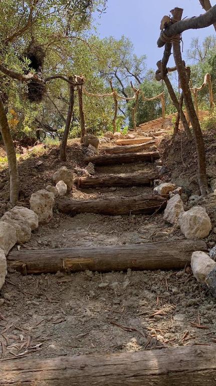 Pelekas Olive Grove Glamping Oasis room 2