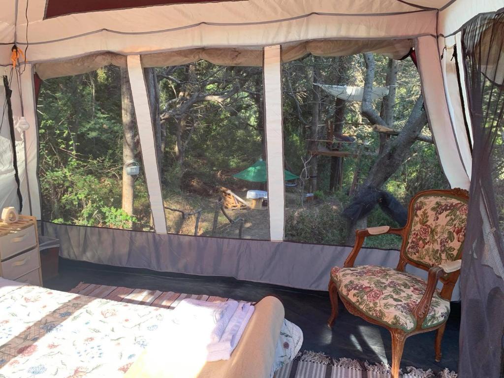 Pelekas Olive Grove Glamping Oasis room 3