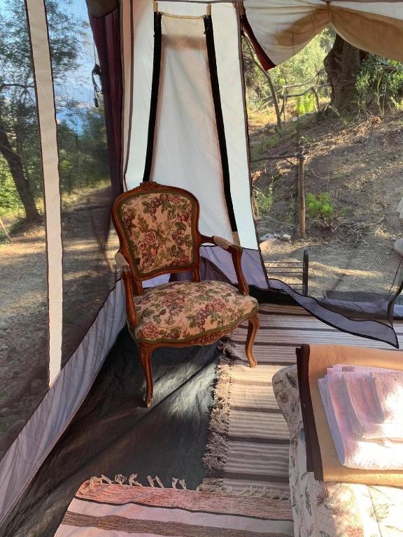 Pelekas Olive Grove Glamping Oasis room 4